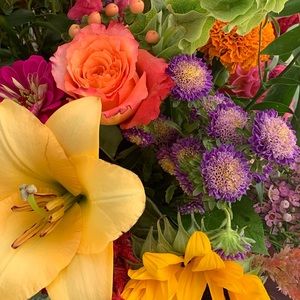 Meet your Posher, Daria